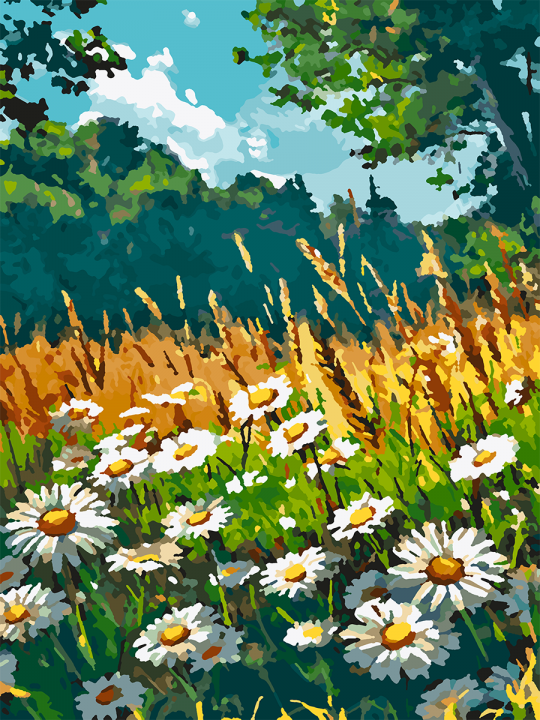 Картина по номерам без подрамника «Поле ромашек» 35x25 см