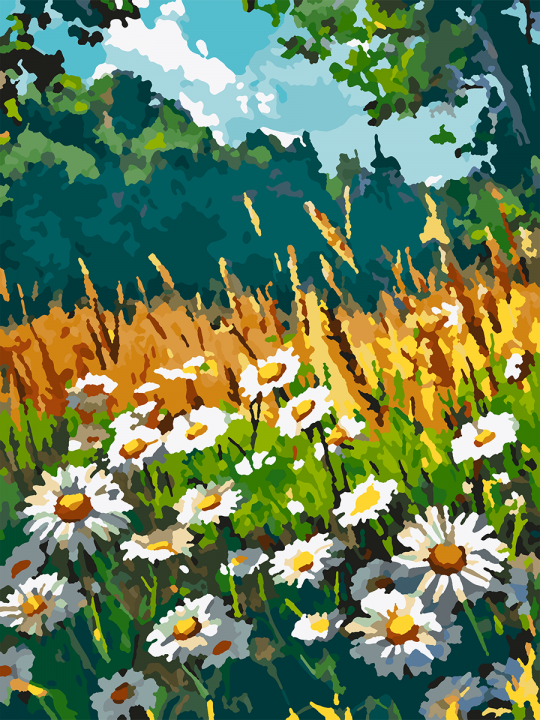 Картина по номерам без подрамника «Поле ромашек» 25x20 см