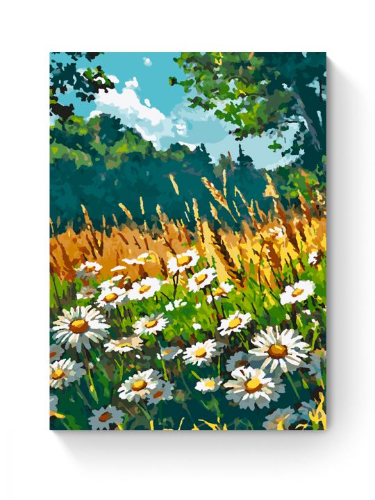 Картина по номерам на подрамнике «Поле ромашек» 35x25 см