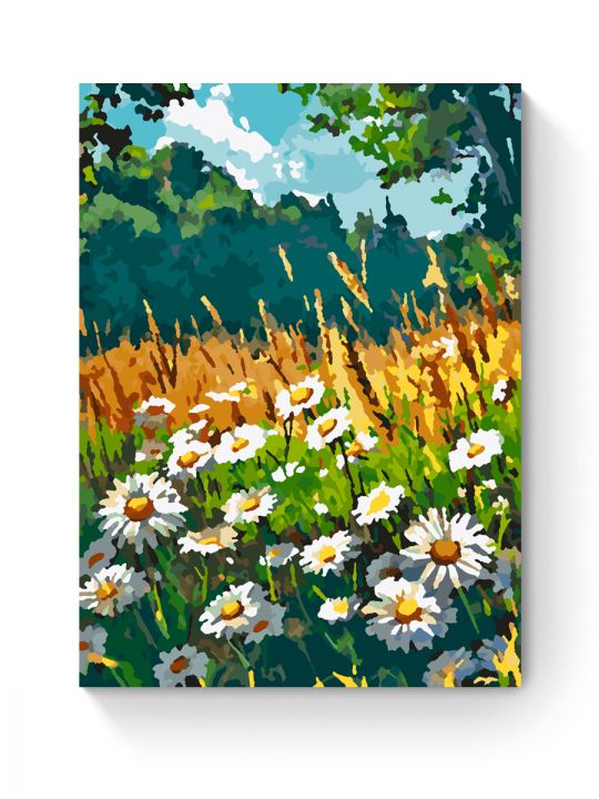 Картина по номерам на подрамнике «Поле ромашек» 25x20 см