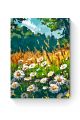 Картина по номерам на подрамнике «Поле ромашек» 25x20 см