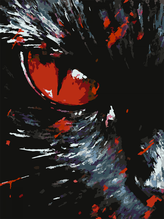 Картина по номерам без подрамника «Черный кот» 35x25 см