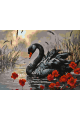 Картина по номерам на подрамнике «Черный лебедь» 25x20 см