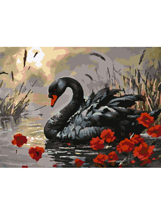 Картина по номерам без подрамника «Черный лебедь» 25x20 см
