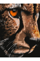 Картина по номерам без подрамника «Гепард» 25x20 см