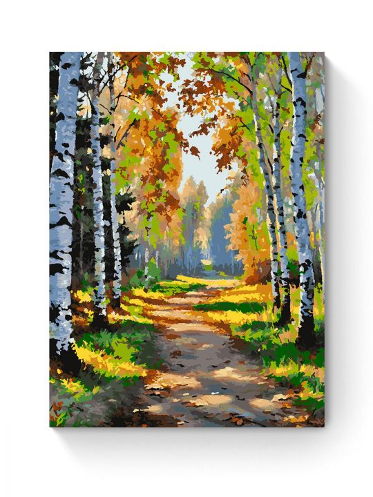Картина по номерам на подрамнике «Лесная тропа» 90x70 см