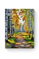 Картина по номерам на подрамнике «Лесная тропа» 90x70 см