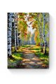 Картина по номерам на подрамнике «Лесная тропа» 80x60 см