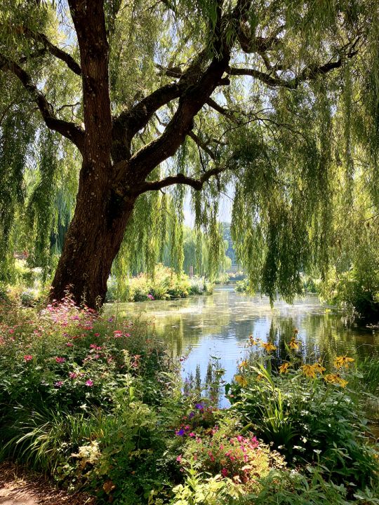 Алмазная мозаика без подрамника «Летний день» 70x50 см