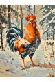 Картина по номерам без подрамника «Петя-петушок» 80x60 см