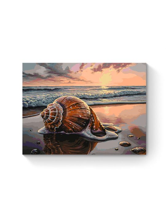 Картина по номерам на подрамнике «Ракушка» 80x60 см