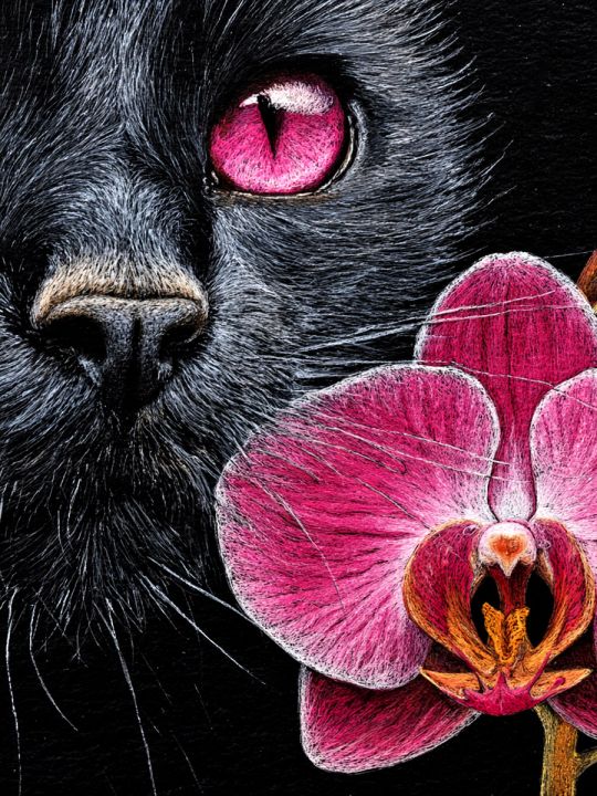 Алмазная мозаика без подрамника «Черная кошка» 50x40 см