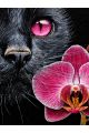 Алмазная мозаика без подрамника «Черная кошка» 70x50 см