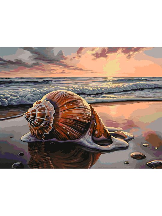 Картина по номерам без подрамника «Ракушка» 130x100 см