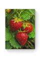 Алмазная мозаика на подрамнике «Клубничка» 90x70 см