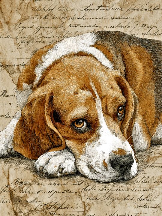 Алмазная мозаика без подрамника «Грустный бигль» 40x30 см