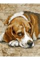 Алмазная мозаика без подрамника «Грустный бигль» 90x70 см