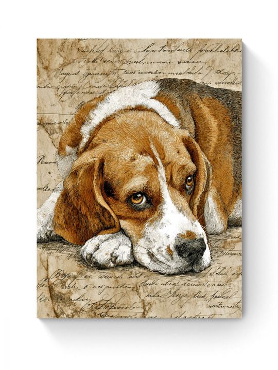 Алмазная мозаика на подрамнике «Грустный бигль» 70x50 см