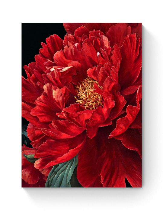 Алмазная мозаика на подрамнике «Красный пион» 50x40 см