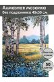 Алмазная мозаика без подрамника «Березки» 40x30 см