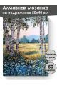 Алмазная мозаика на подрамнике «Березки» 50x40 см