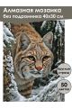 Алмазная мозаика без подрамника «Рысь Бобкэт» 40x30 см