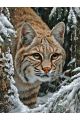 Алмазная мозаика без подрамника «Рысь Бобкэт» 70x50 см