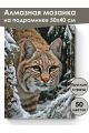 Алмазная мозаика на подрамнике «Рысь Бобкэт» 50x40 см