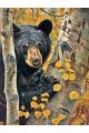 Алмазная мозаика без подрамника «Черный медведь» 40x30 см