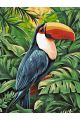 Картина по номерам на подрамнике «Птица Тукан» 90x70 см