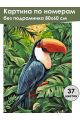 Картина по номерам без подрамника «Птица Тукан» 80x60 см