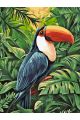 Картина по номерам без подрамника «Птица Тукан» 80x60 см