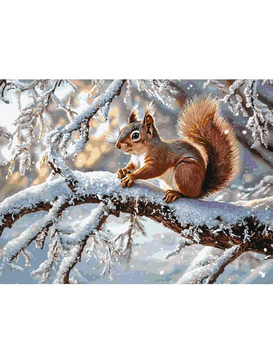 Картина по номерам без подрамника «Белочка» 130x100 см