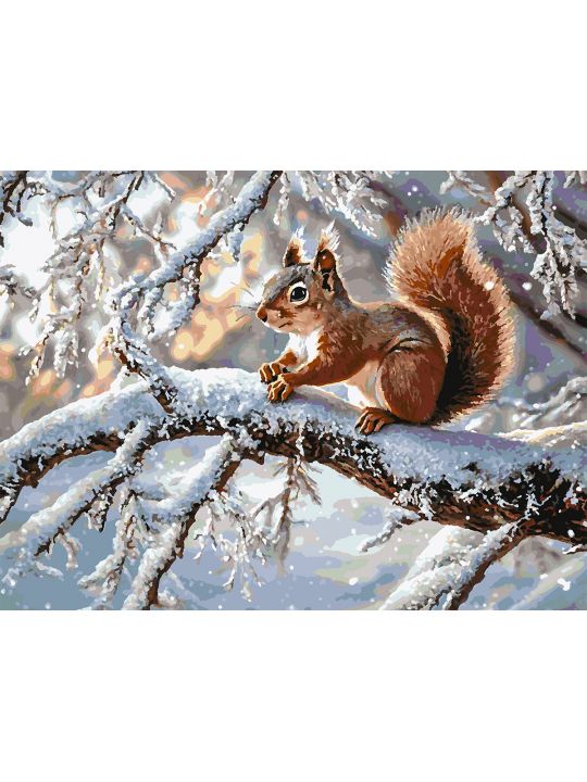 Картина по номерам без подрамника «Белочка» 80x60 см