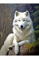 Алмазная мозаика без подрамника «Белый волк» 40x30 см