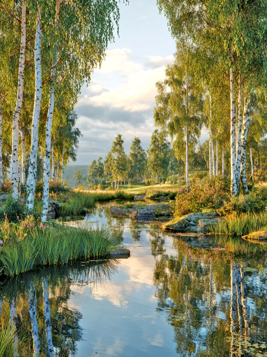 Алмазная мозаика без подрамника «Березы у воды» 50x40 см