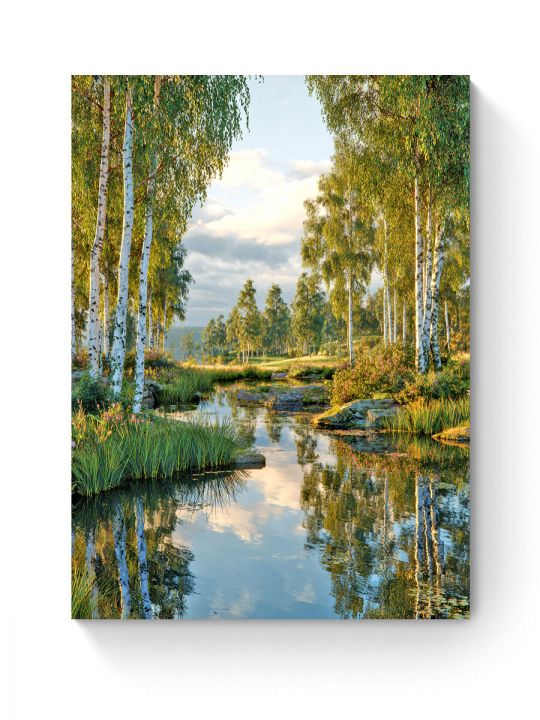 Алмазная мозаика на подрамнике «Березы у воды» 50x40 см