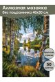 Алмазная мозаика без подрамника «Березы у реки» 40x30 см