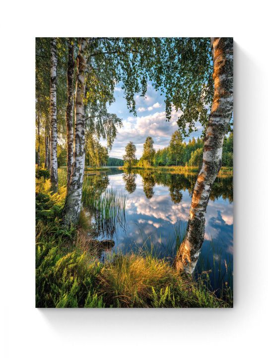 Алмазная мозаика на подрамнике «Березы у реки» 40x30 см, 49 цветов