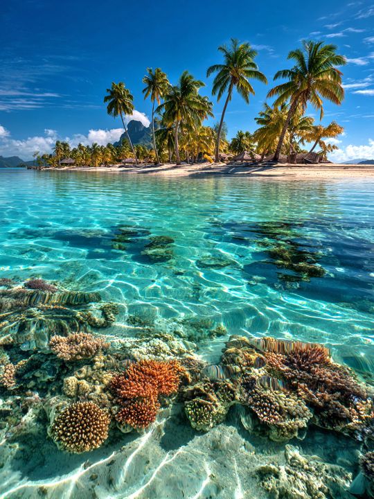 Алмазная мозаика без подрамника «Райский остров» 40x30 см, 48 цветов