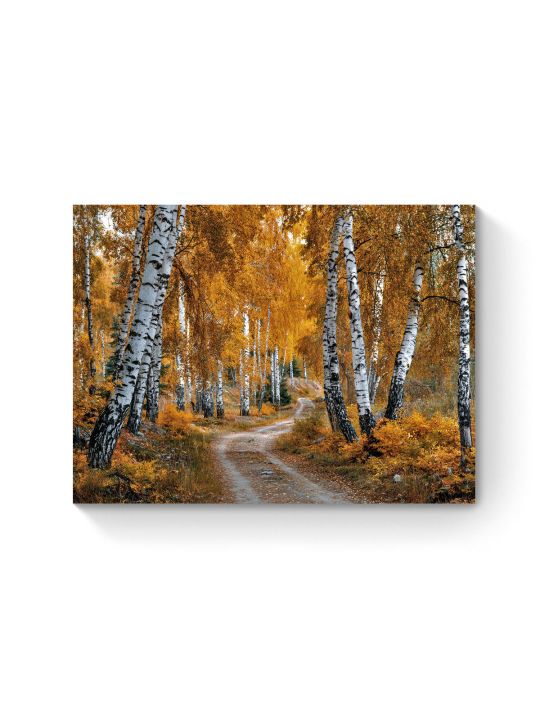 Алмазная мозаика на подрамнике «Осенний лес» 40x30 см