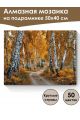 Алмазная мозаика на подрамнике «Осенний лес» 50x40 см