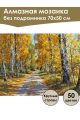Алмазная мозаика без подрамника «Дорога в осень» 70x50 см