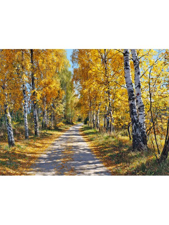 Алмазная мозаика без подрамника «Дорога в осень» 130x100 см