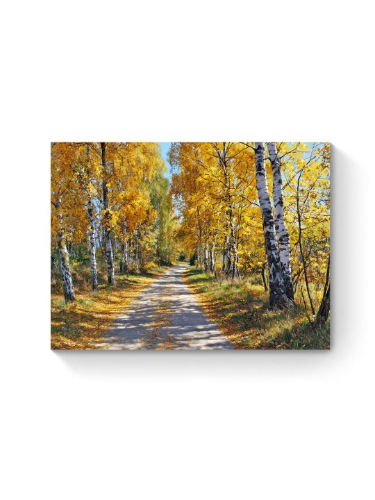 Алмазная мозаика на подрамнике «Дорога в осень» 70x50 см