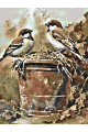 Картина по номерам на подрамнике «Воробьи» 35x25 см