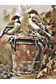 Картина по номерам без подрамника «Воробьи» 25x20 см