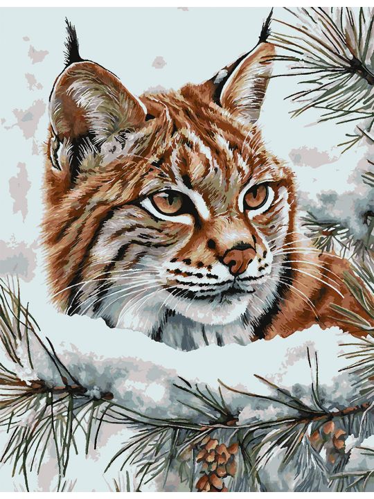Картина по номерам без подрамника «Рысь зимой» 130x100 см