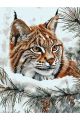 Картина по номерам без подрамника «Рысь зимой» 80x60 см