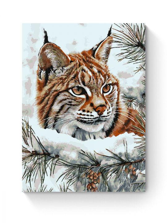 Картина по номерам на подрамнике «Рысь зимой» 80x60 см